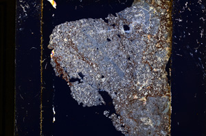 Cross Polarized, E13598