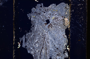 Cross Polarized, E13599