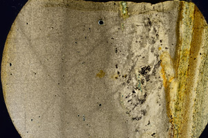 Cross Polarized, E13611