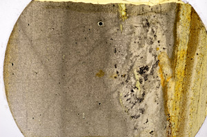 Plane Polarized, E13611