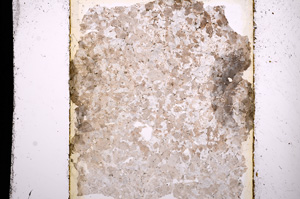 Plane Polarized, E13613