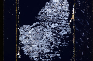 Cross Polarized, E13614