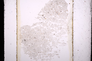 Plane Polarized, E13614