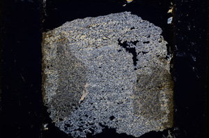 Cross Polarized, E13617