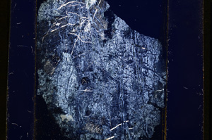 Cross Polarized, E13620