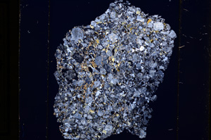 Cross Polarized, E13621