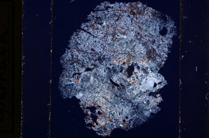 Cross Polarized, E13625