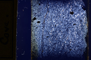 Cross Polarized, E13630