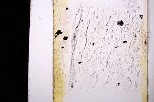 Plane Polarized, E13630