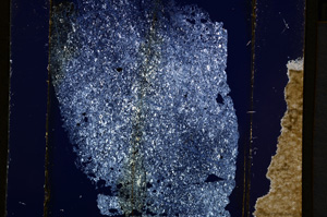 Cross Polarized, E13639