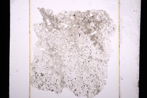 Plane Polarized, E13641