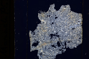 Cross Polarized, E13642