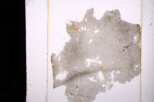 Plane Polarized, E13642