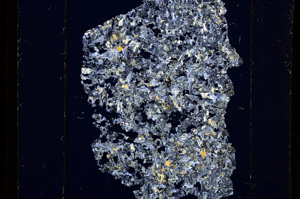 Cross Polarized, E13643