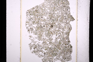 Plane Polarized, E13643