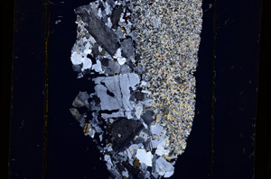 Cross Polarized, E13644