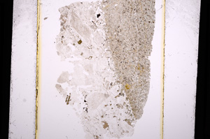 Plane Polarized, E13644