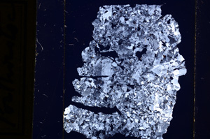 Cross Polarized, E13645