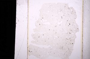 Plane Polarized, E13645