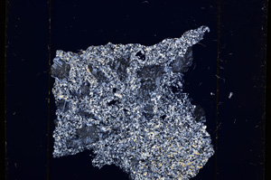 Cross Polarized, E13646