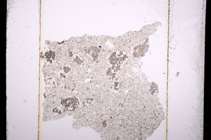 Plane Polarized, E13646