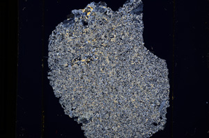 Cross Polarized, E13647