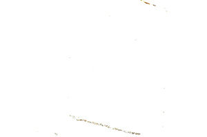 Plane Polarized, E13656