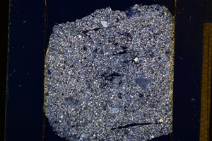 Cross Polarized, E13680