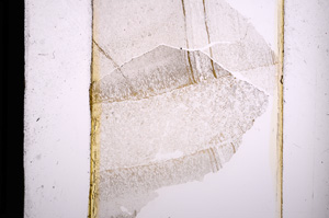 Plane Polarized, E13708