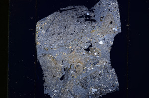 Cross Polarized, E13742