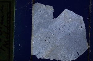 Cross Polarized, E13746