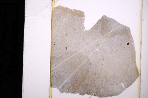 Plane Polarized, E13746