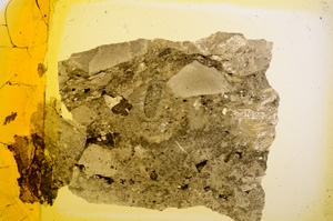 Plane Polarized, E13751/A