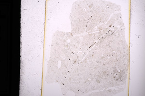 Plane Polarized, E13762