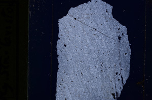 Cross Polarized, E13778