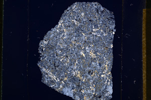 Cross Polarized, E13785