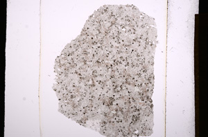 Plane Polarized, E13785