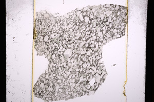 Plane Polarized, E13790