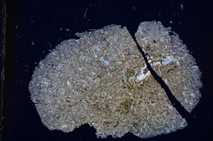 Cross Polarized, E13838