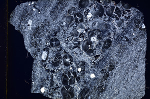 Cross Polarized, E13873