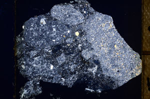 Cross Polarized, E13881