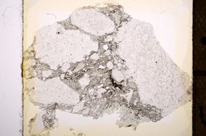 Plane Polarized, E13881