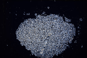 Cross Polarized, E13914