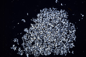 Cross Polarized, E13923