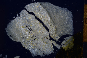 Cross Polarized, E13953