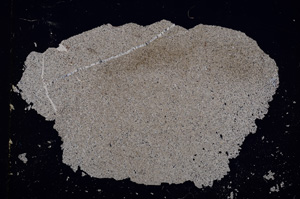 Cross Polarized, E13990