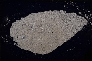 Cross Polarized, E13991