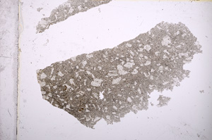 Plane Polarized, E14023