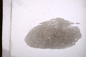 Plane Polarized, E14028