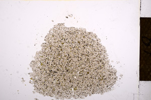 Plane Polarized, E14051